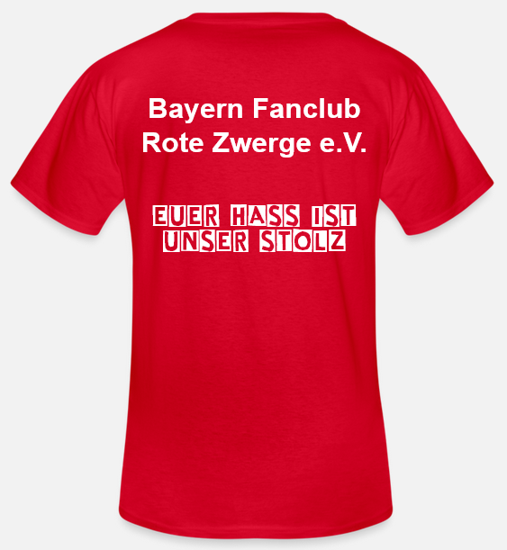 ht01-shirt-hinten